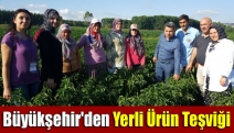 Büyükşehir'den Yerli Teşviği