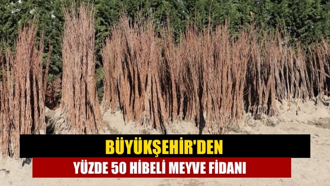 Büyükşehir'den yüzde 50 hibeli meyve fidanı