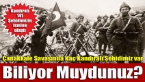 Çanakkale Savaşında Kaç Kandıralı Şehidimiz var biliyor muydunuz?