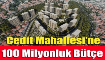 Cedit Mahallesi’ne 100 milyonluk bütçe