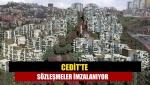 Cedit'te sözleşmeler imzalanıyor