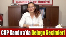 CHP Kandıra’da delege seçimleri