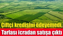 Çiftçi kredisini ödeyemedi, tarlası icradan satışa çıktı