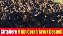 Çiftçilere 9 bin gezen tavuk desteği