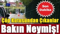 Çöp Kutusundan Çıkanlar Bakın Neymiş!