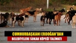 Cumhurbaşkanı Erdoğan'dan belediyelere sokak köpeği talimatı