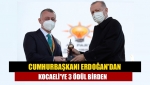 Cumhurbaşkanı Erdoğan'dan Kocaeli'ye 3 ödül birden