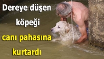 Dereye düşen köpeği canı pahasına kurtardı