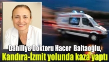 Dr. Baltaoğlu, Kandıra-İzmit yolunda kaza yaptı