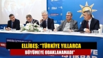 Ellibeş: “Türkiye yıllarca büyümeye odaklanamadı”