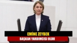 Emine Zeybek başkan yardımcısı oldu