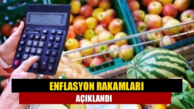 Enflasyon rakamları açıklandı