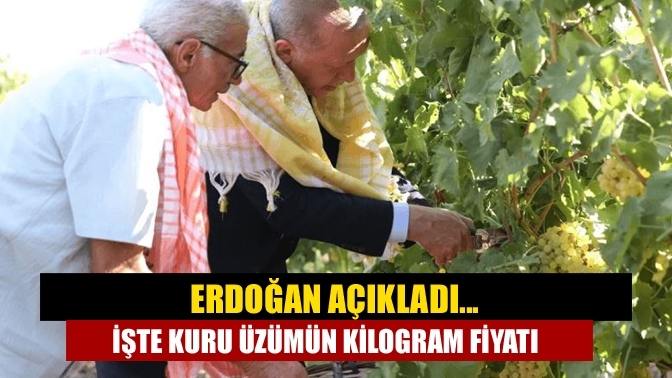 Erdoğan açıkladı... İşte kuru üzümün kilogram fiyatı