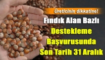 Fındık Alan Bazlı Destekleme Başvurusunda Son Tarih 31 Aralık