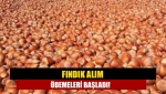 Fındık alım ödemeleri başladı!