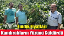 Fındık fiyatları Kandıralıların yüzünü güldürdü