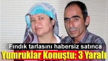 Fındık tarlasını habersiz satınca yumruklar konuştu: 3 yaralı