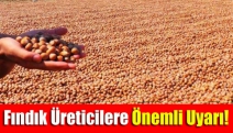 Fındık Üreticilere Önemli Uyarı!