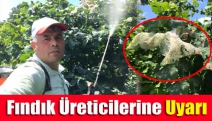 Fındık Üreticilerine Uyarı