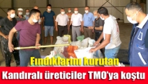 Fındıklarını kurutan Kandıralı üreticiler TMO’ya koştu