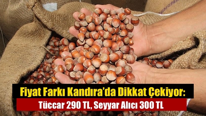 Fiyat Farkı Kandıra’da Dikkat Çekiyor: Tüccar 290 TL, Seyyar Alıcı 300 TL