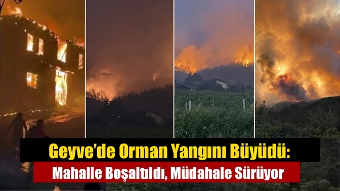Geyve’de Orman Yangını Büyüdü: Mahalle Boşaltıldı, Müdahale Sürüyor