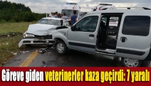Göreve giden veterinerler kaza geçirdi: 7 yaralı