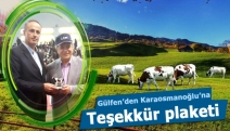 Gülfen’den Karaosmanoğlu’na teşekkür plaketi