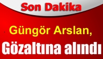 Güngör Arslan, gözaltına alındı