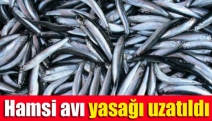 Hamsi avı yasağı uzatıldı