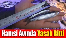 Hamsi avında yasak bitti