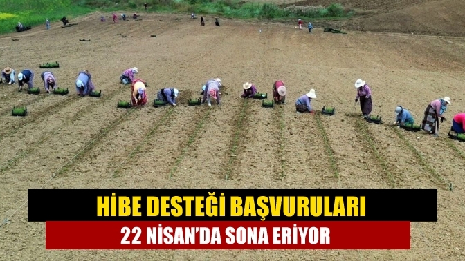 Hibe desteği başvuruları 22 Nisan’da sona eriyor