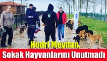 Hodri Meydan, sokak hayvanlarını unutmadı