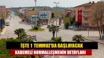 İşte 1 Temmuz'da başlayacak kademeli normalleşmenin detayları