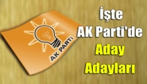 İşte AK Parti'de aday adayları
