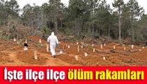 İşte ilçe ilçe ölüm rakamları