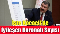 İşte Kocaeli’de İyileşen Koronalı Sayısı