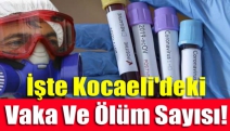 İşte Kocaeli'deki vaka ve ölüm sayısı!