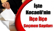 İşte Kocaeli'nin ilçe ilçe seçmen sayıları