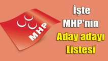 İşte MHP'nin Aday adayı Listesi