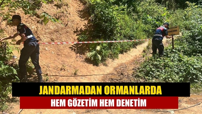 Jandarmadan ormanlarda hem gözetim hem denetim