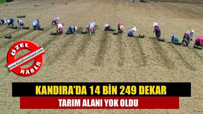 Kandıra’da 14 bin 249 dekar tarım alanı yok oldu