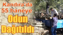 Kandıra’da 55 haneye odun dağıtıldı