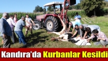 Kandıra’da kurbanlar kesildi