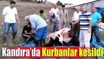 Kandıra’da kurbanlar kesildi