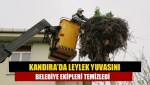 Kandıra’da leylek yuvasını belediye ekipleri temizledi