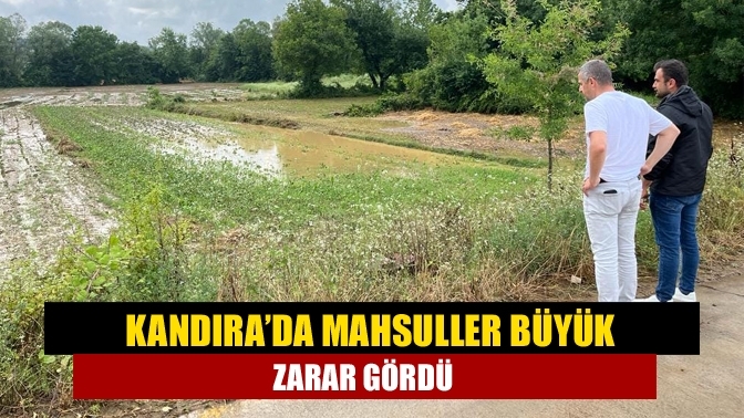 Kandıra’da mahsuller büyük zarar gördü