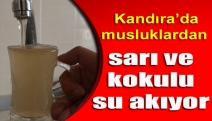 Kandıra’da musluklarından sarı ve kokulu su akıyor!