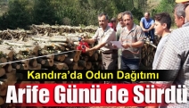 Kandıra’da Odun Dağıtımı Arife Günü de Sürdü