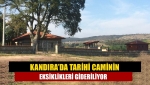 Kandıra’da Tarihi caminin eksiklikleri gideriliyor